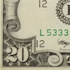 Twenty Dollar Overprint 3rd Print Shift Error Off Center US $20 Series 1995 L B
