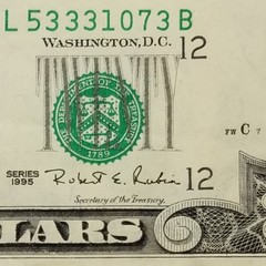 Twenty Dollar Overprint 3rd Print Shift Error Off Center US $20 Series 1995 L B