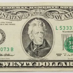 Twenty Dollar Overprint 3rd Print Shift Error Off Center US $20 Series 1995 L B
